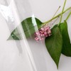 AooHome Shower Curtain, Transparent, Vinyl Curtain, Modular Bathroom, Divider, Lightweight,