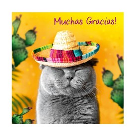 Muchas Gracias Thank You Card, Grey Cat with Sombrero Design, 12.3 x 12.3 cm, Blank Inside