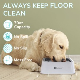 LumoLeaf No Spill Water Bowl for Dogs with Filter, 70oz/2L, Slow Feeder for Messy Drinkers, Drip-Free & Splash-Proof Design (Grey, 70 fl oz) (Grey 70 fl oz)