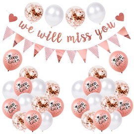 Farewell Party Decoration, We Will Miss You Decoration, We Will Miss You Banner, Triangle Flag Banner, Good Luck Balloons, Party Accessories for Retirement, Decoration for Retirement Party and