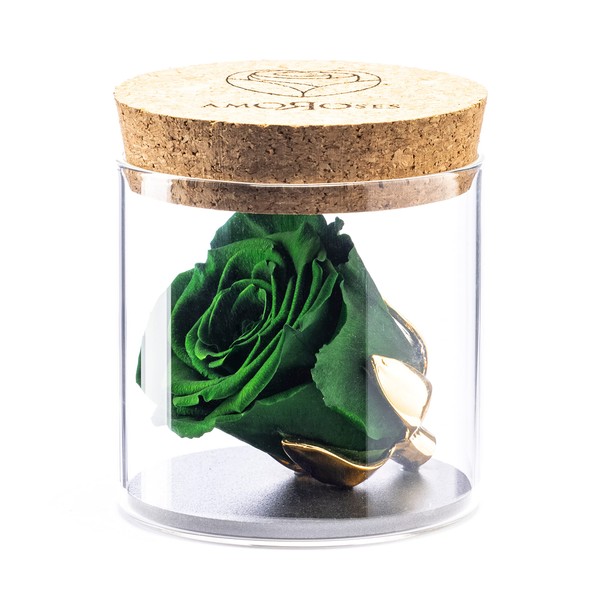 Amoroses Bijou - Rosa Stabilizzata Eterna con Calice Placcato Oro 24K in Barattolo di Vetro | Idea Regalo (Rosa Verde Foresta)