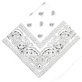 AAMERA Bandana Scarf for Men Women I Cotton Square Paisley Print Bandanas Face Mask I Neck Head wear Scarfs (White)