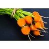 Baby Carrot Seeds - Little Finger Carrots - A Delicacy