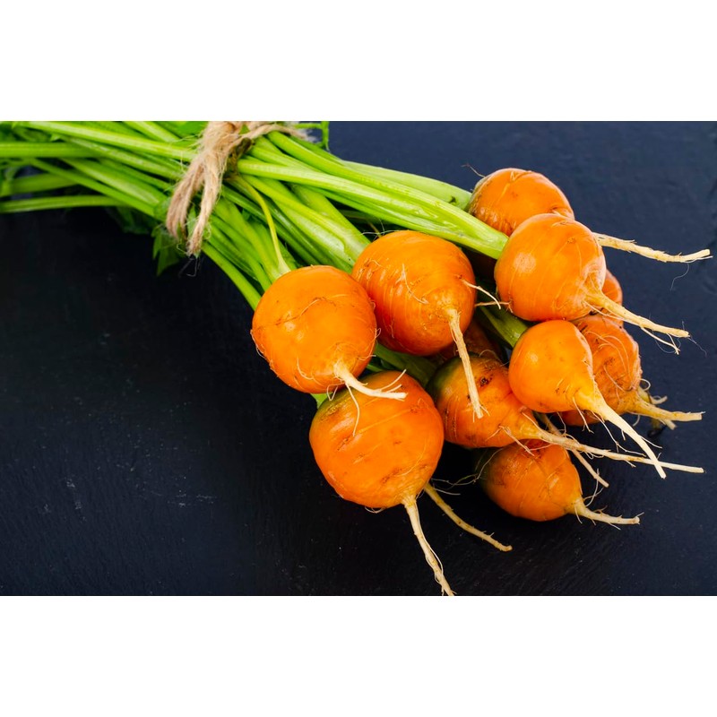 Baby Carrot Seeds - Little Finger Carrots - A Delicacy