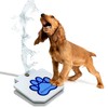Pet Fit For Life Dog Pedal Water Fountain - Step-On