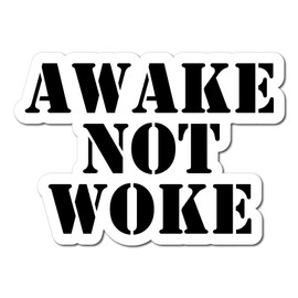 Bad Fish Custom Decals Awake Not Woke Decals – Funny Cute Sticker - Premium Gloss Permanent Vinyl Waterproof Indoor Outdoor (2 Sticker Card)