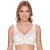 Susa Women's No-Wire Bra (Pack of 2) - Champagne skin,
