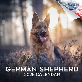 2025 2026 German Shepherd Calendar - Dog Breed Monthly Wall Calendar - 12 x 24 Open - Thick No-Bleed Paper - Giftable - Academic Teacher's Planner Calendar Organizing & Planning - Made in USA