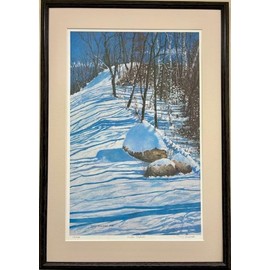 Terry Mihlrad Winter Shadows FRAMED SIGNED & # ART American Landscape NEW