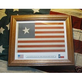 Texas Revolution....First Lone Star Texas Navy Flag