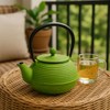 Creative Home 20 oz Cast Iron Kyusu Teapot with Stainless
