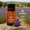 OLEUM VITAE Aceite Esencial de Lavanda. Lavandula Angustifolia. 100% Puro