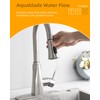 Hibbent Kitchen Sink Faucet Head Replacement, 3-Function Pull Down Sprayer