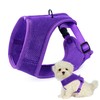 Mile High Life Step in Dog Harness for Small Dogs