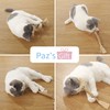 PAZ'S GIFT Cat Toys Natural Cat Chew Toys Set with