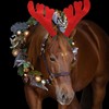 HIXNUG 2pcs Horse Christmas Headband Christmas Reindeer Antler Headband Xmas