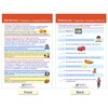 NewPath Learning Usage: Sentences & Grammar Rules Bulletin Board Charts,