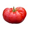 Beefsteak Tomato Seeds - Heirloom NonGMO - Garden Favorite for