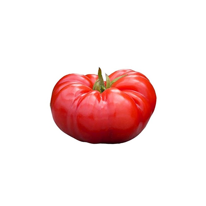 Beefsteak Tomato Seeds - Heirloom NonGMO - Garden Favorite for