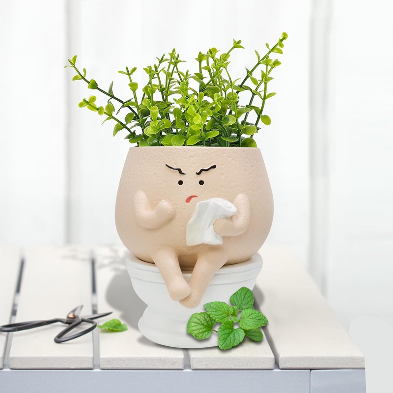 Toparad Face Self Watering Planter Pots Funny Toilet Plant Pot