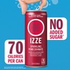 IZZE Sparkling Water Juice Beverage Blend, Pomegranate, No Sugar Added,