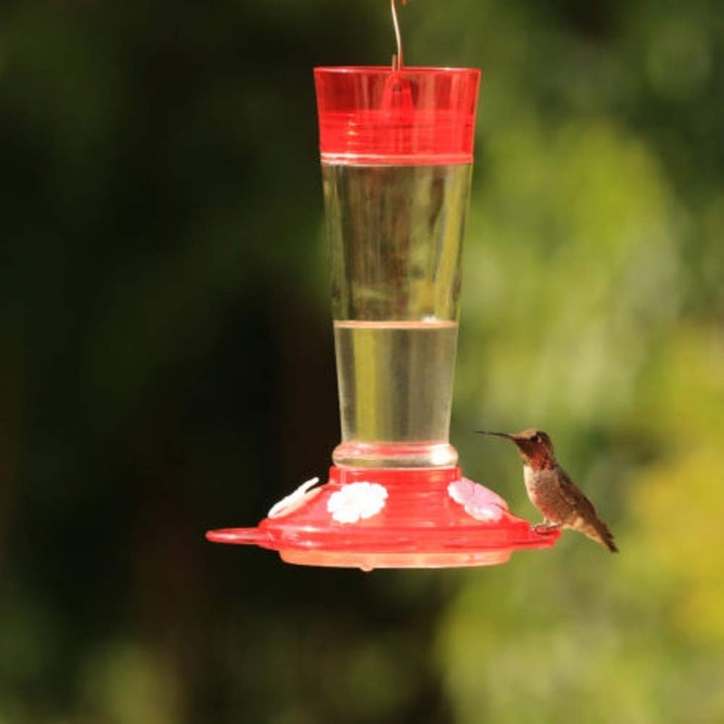 More Birds Ruby Hummingbird Feeder, 10-Ounce Capacity, 5 Ports
