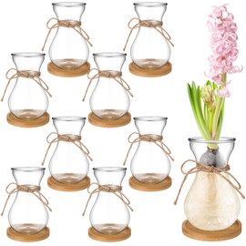 FoldTier Glass Bulb Vases for Flowers Forcing Hyacinth Clear Vase Decorative Bulb Vase with Round Bamboo Coaster for Home Office Table Decoration(8 Pcs)