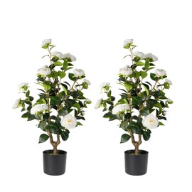 Datietiao Artificial Camellia Tree 2 Pack - Realistic Camellia Plants in Pot with White Flowers, Lifelike Faux Greenery for Living Room, Patio, or Wedding, White