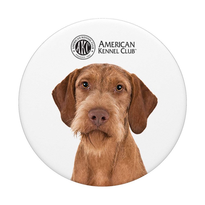 AKC Wirehaired Vizsla Photo PopSocket