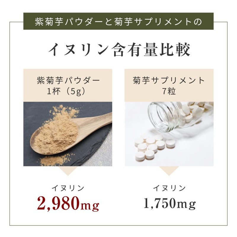 オーガライフ 紫 菊芋パウダー 国産 風土日和 イヌリン 無添加 無農薬 食物繊維 100g