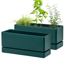 D'vine Dev 12 Inch Window Box Planter, Rectangle Plastic Herb Planter with Drainage Holes and Saucer, Indoor Succulent Cactus Vegetable Pot for Windowsill, Garden Balcony, Green, Set of 2, 76-X-C-2