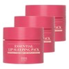 Ten Zero Daily Essential Lip Sleeping Pack Berrypolis 15g 3