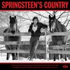 Springsteen's Country