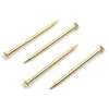 Design61 100x Steel Pins Steel Nails Skirting Board Pins Nail