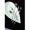 Fortessa Dragonfly 18/10 Stainless Steel Flatware Table Fork, 8.25-Inch, Set