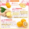 FINE JAPAN Kintoki Ginger Tea, Yuzu Skin Powder, Oligosaccharide Formulated