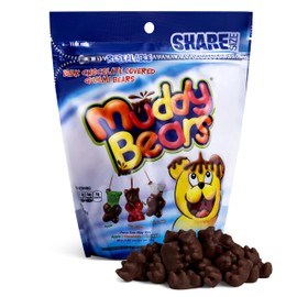 Candylandia Chocolate Covered Fruit Snacks in Value Size 10.5 ounce bag | Milk Chocolate and Fruity Gummy Bears | 1 bag