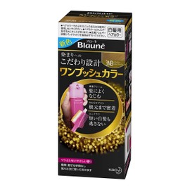 Blaune One Push Color 3NB Naturally Chiffon Beige [Quasi-Drug]