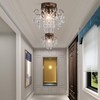 Q&S Small Crystal Ceiling Light Fixture Flush Mount,Black Ceiling Lights