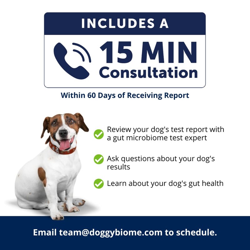 AnimalBiome Dog Probiotics Test Kit - Gut Microbiome Health Test