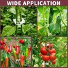 SANHIGHEND Plastic Plant Clips, Make Your Plants Tidy and Beautiful