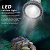 Turtle Basking Light Bulb UVA UVB Concave and Convex Mirror