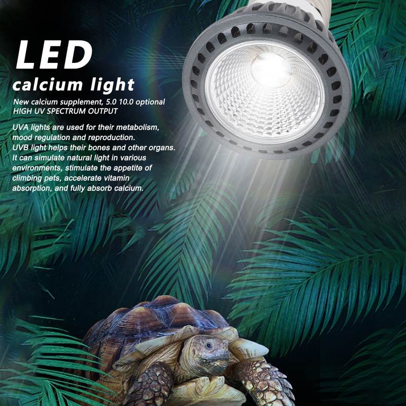 Turtle Basking Light Bulb UVA UVB Concave and Convex Mirror