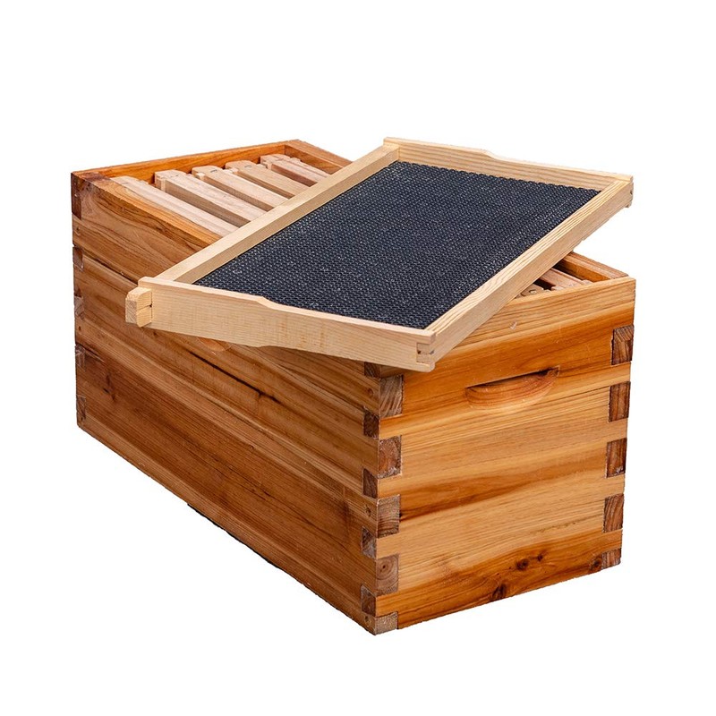 MayBee 5-Frame Nuc Beehive for Bees Complete Bee Hive Box