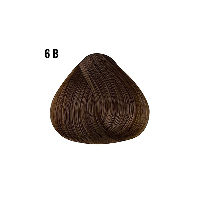 Farouk CHI Hair and Scalp Care (Colour 6B) - 89