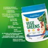 Progressive Vegegreens Blueberry Medley Flavour 530 g, Anti-Inflammatory plus Liver