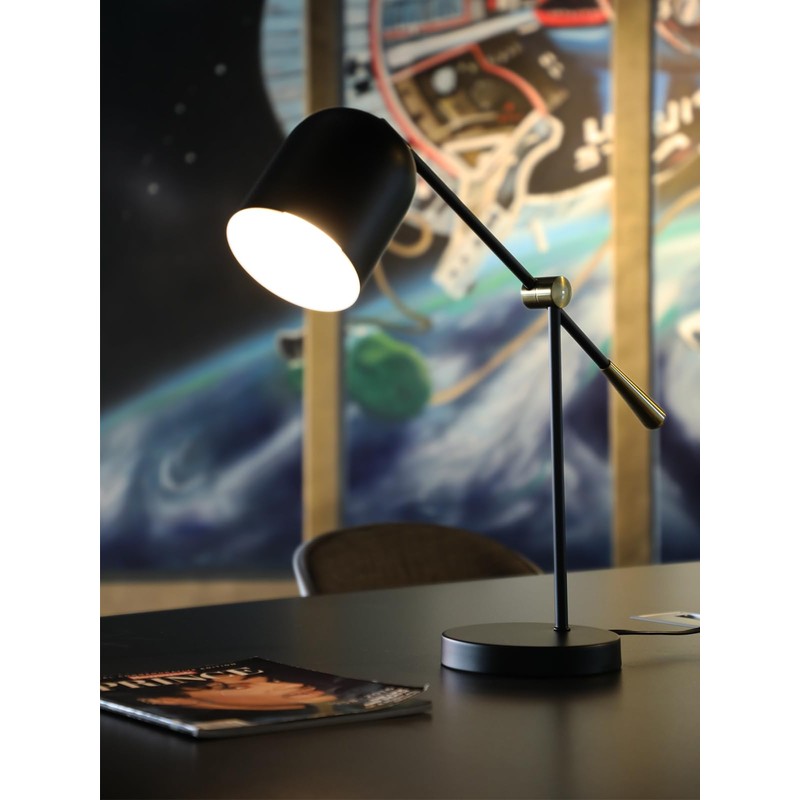 TORCHSTAR Adjustable Desk Lamp Aesthetic, AC 110-120V, Swing Arm Task