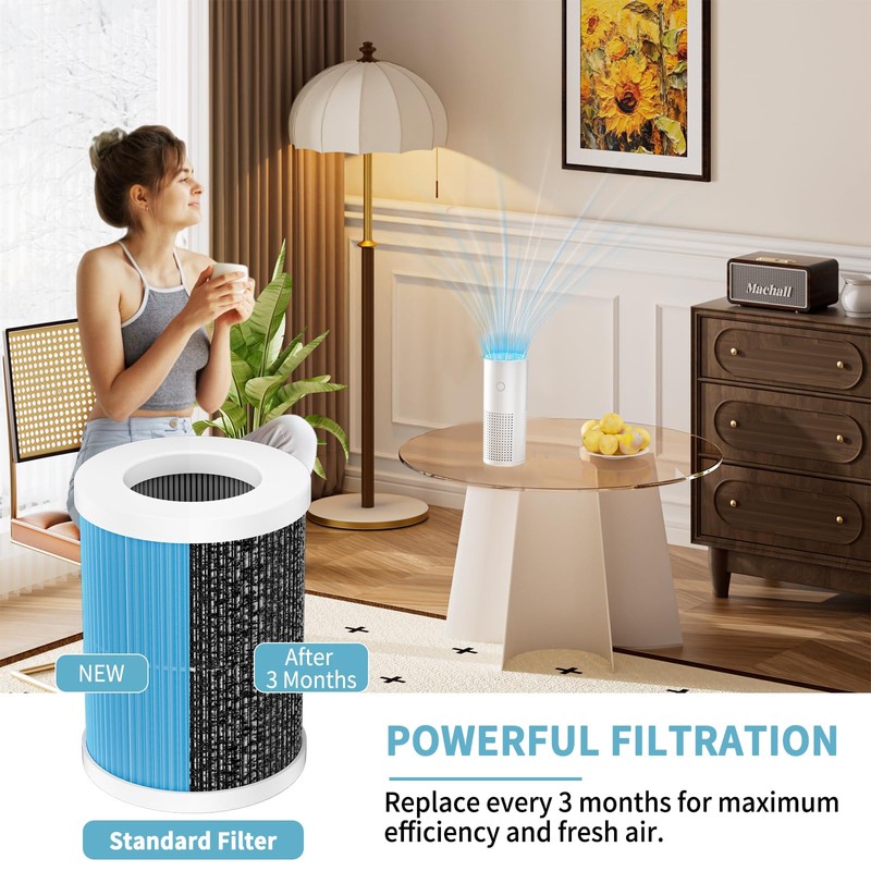 2 Pack Filter H13 True HEPA Filters for DQUGUVY D-AIR_PURIFIER