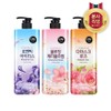 LG Household & Health Care On The Body Flower Cherry
