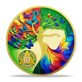 deDecoml 2 Year Sobriety Coin with Acrylic Coin Capsule, Affirmation Artsy Butterfly Tree NA AA Medallion Recovery Anniversary Milestones, Alcoholics Anonymous Tokens Sobriety Gifts for Men Women